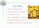 금의 제련 4페이지