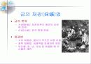 금의 제련 5페이지