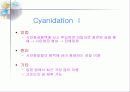 금의 제련 8페이지