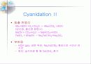 금의 제련 9페이지