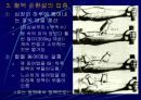 생리학 8페이지