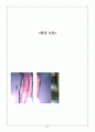 [사범/법학] 아동학대 아동의 권리, 개념과 유형, 원인,징후 관련 레포트 자료 23페이지