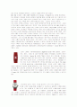 스와치(swatch) 기업을 통해서 본 기업 활동과 디자인 2페이지