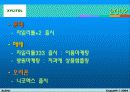 자일리톨 마케팅 10페이지