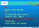 자일리톨 마케팅 12페이지