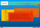 자일리톨 마케팅 13페이지