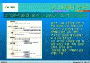 자일리톨 마케팅 15페이지