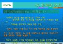 자일리톨 마케팅 22페이지