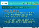 자일리톨 마케팅 23페이지