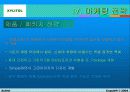 자일리톨 마케팅 26페이지