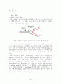 DNA 복제 3페이지