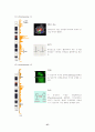 Human Genome Project (인간게놈프로젝트) 37페이지