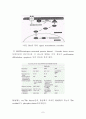 Signal transduction (신호전달) 7페이지