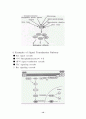 Signal transduction (신호전달) 12페이지