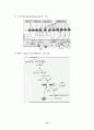 Signal transduction (신호전달) 13페이지