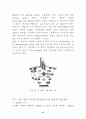Signal transduction (신호전달) 15페이지