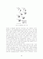 Signal transduction (신호전달) 19페이지