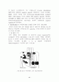 Signal transduction (신호전달) 27페이지