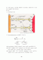 Signal transduction (신호전달) 50페이지