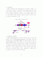 생체막의 구조와 기능 7페이지