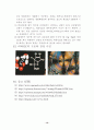 Ascorbic acid(비타민 C) 13페이지
