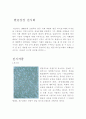 한글상상 전시회 1페이지