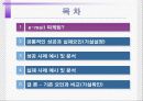 성공하는 e-mail 마케팅의 특징분석 3페이지