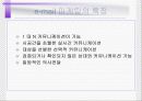 성공하는 e-mail 마케팅의 특징분석 5페이지