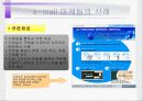성공하는 e-mail 마케팅의 특징분석 8페이지