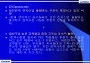 카시오 전자사전의 마케팅 전략 8페이지