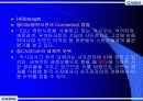 카시오 전자사전의 마케팅 전략 12페이지
