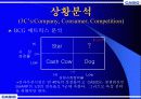 카시오 전자사전의 마케팅 전략 13페이지