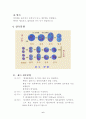 세포분열 6페이지