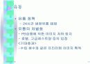 생수 마케팅 전략 13페이지