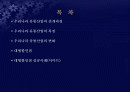우리나라 대형할인점의 현황과 성공사례(이마트) 2페이지