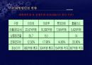 우리나라 대형할인점의 현황과 성공사례(이마트) 15페이지