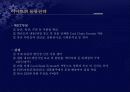 우리나라 대형할인점의 현황과 성공사례(이마트) 25페이지
