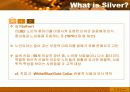 소비자행동분석(실버시장) 7페이지