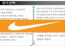 나이키와 인라인스케이트/브랜드 분석을 통한 성공과 실패 6페이지