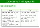 하이트와 하이트 프라임의 비교분석 / 브랜드 성공 실패 사례 14페이지