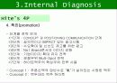 하이트와 하이트 프라임의 비교분석 / 브랜드 성공 실패 사례 32페이지
