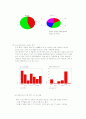 국내 테마파크 산업에 대해 12페이지