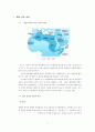 중동 시장 진출 전략 /중동의 무역전략 2페이지