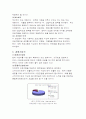 스카이라이프 마케팅 7페이지