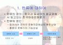 한류와 스타 마케팅 3페이지