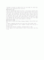 BCG매트릭스 2페이지