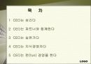 리더쉽에 대해(한국 CEO의 조건) 3페이지