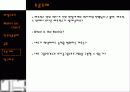 영화 매트릭스의 내포적 요소에 대해 14페이지