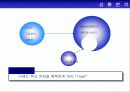 독신여성들을 위한 마케팅 전략/고급화 마케팅 16페이지