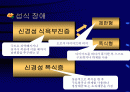 청소년기의 정신병리의 위험과 문제에 관한 발표자료 2페이지